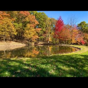 Meet your Posher, Cameron